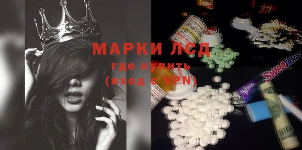 индика Абаза