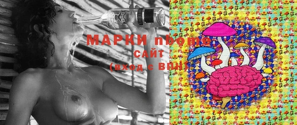 индика Абаза
