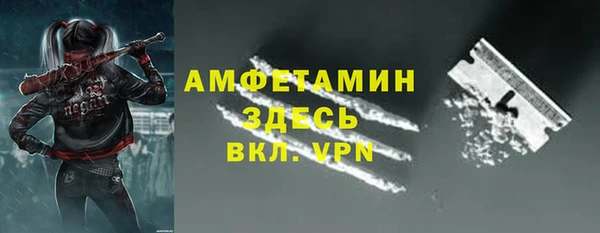 индика Абаза