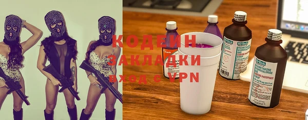 индика Абаза