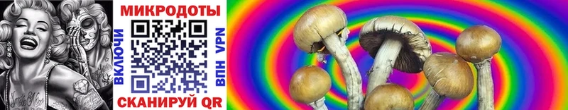 цены   Александров  кракен   Псилоцибиновые грибы MAGIC MUSHROOMS 